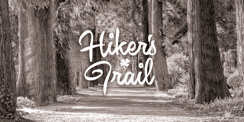 Winfield Script font