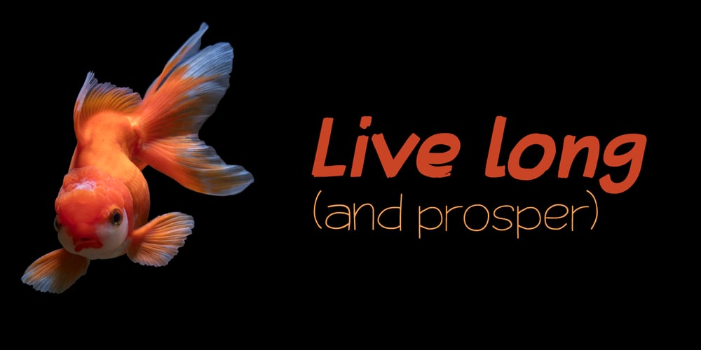 Third Time Lucky font