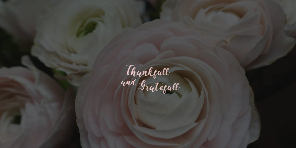 La Vie En Flower font