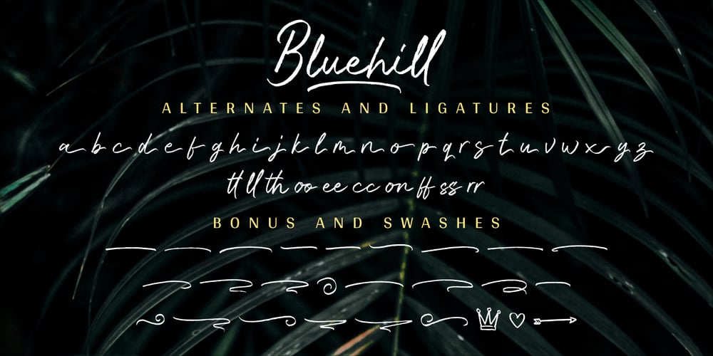 Bluehill font