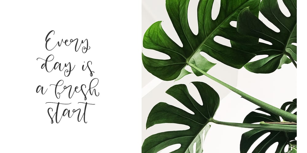 Honey and Ginger font