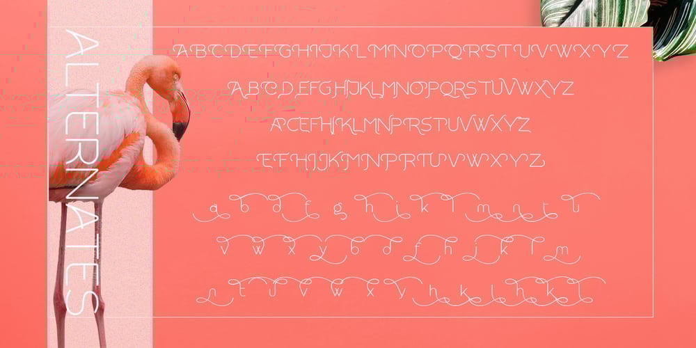 Rollgates font