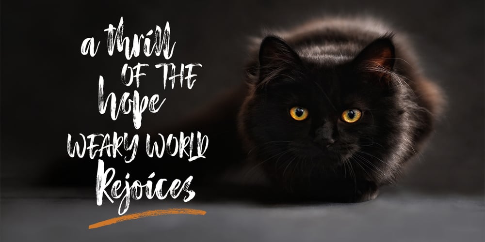 Red Blues Script font