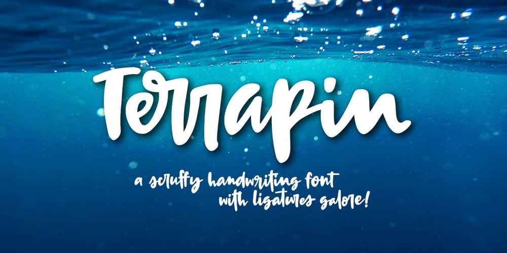 Terrapin font