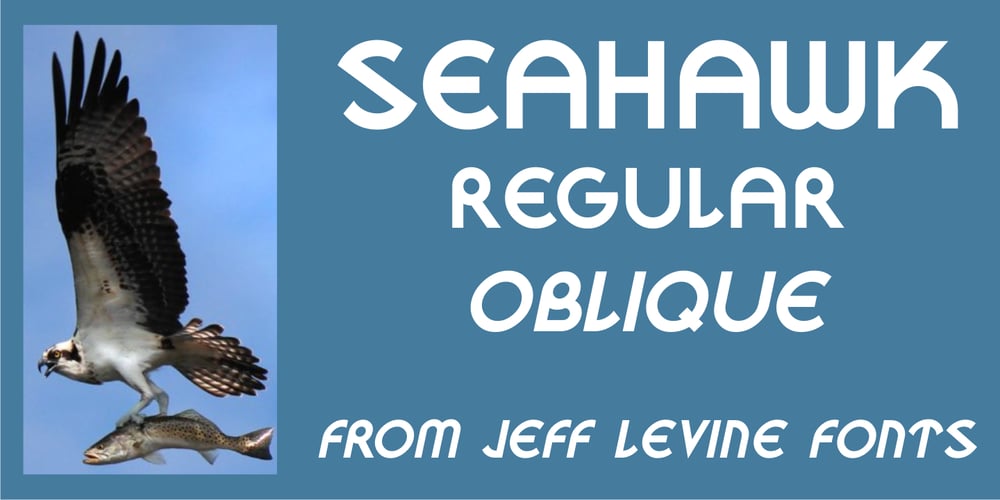 Seahawk JNL font