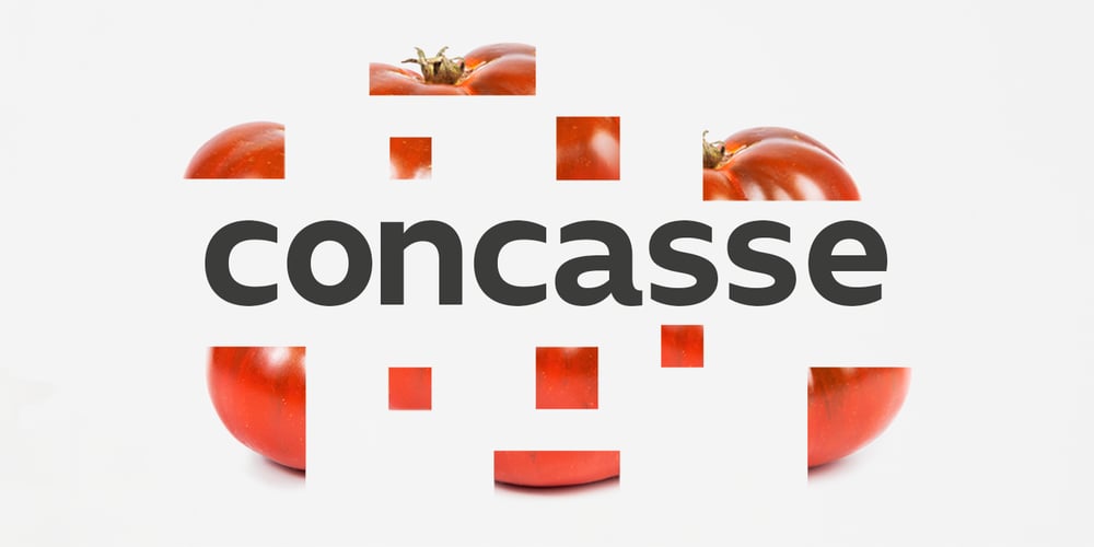Concasse font