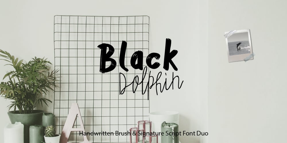 Black Dolphin font