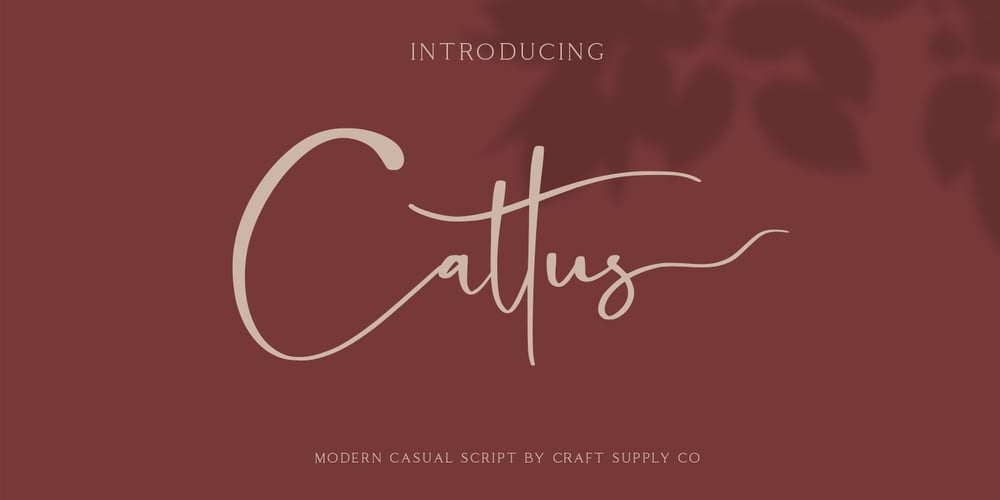 Cattus font