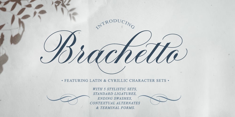 Brachetto font