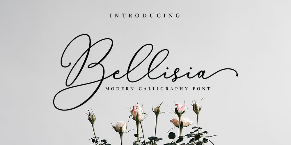 Bellisia font