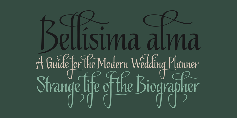 Biographer font