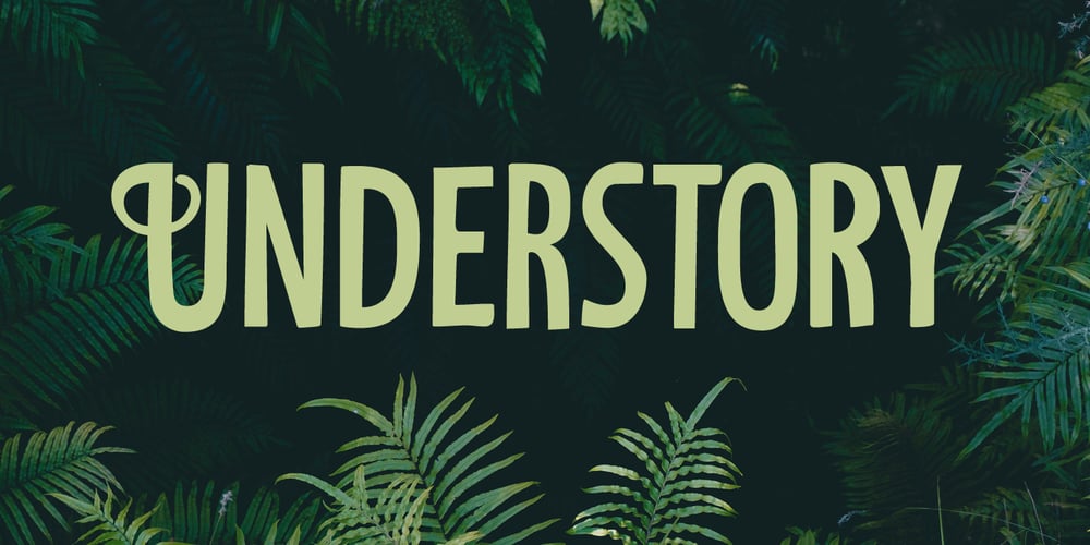 Understory font