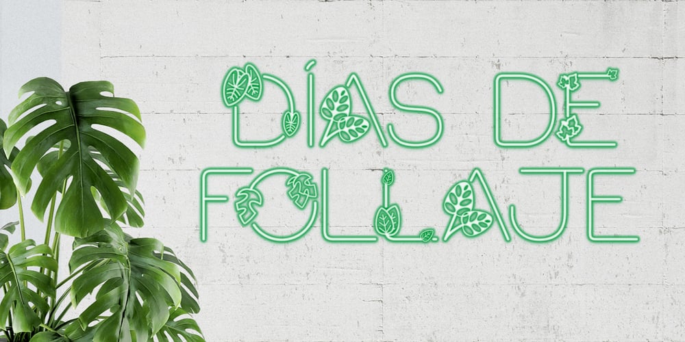 Dias de Follaje font