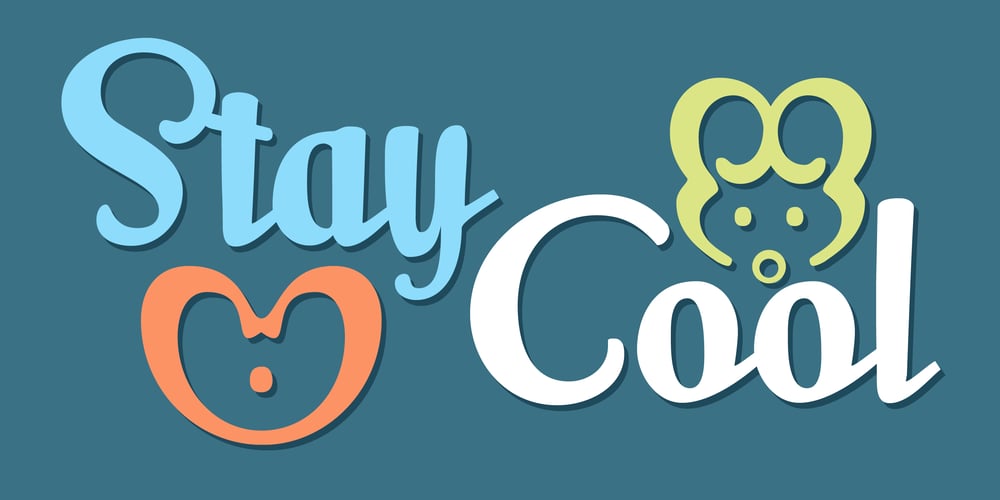 Milk Script font