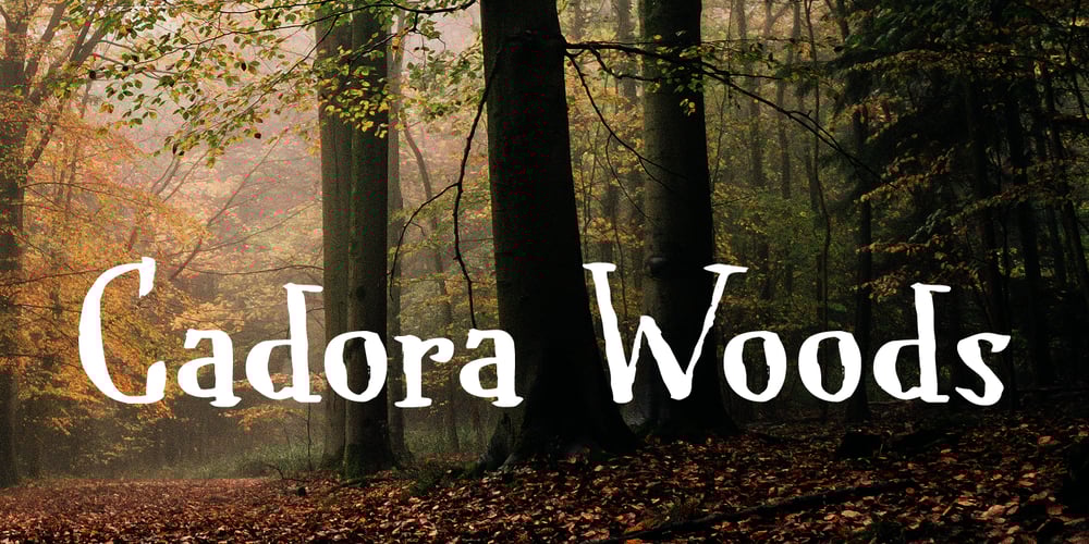 Cadora Woods font
