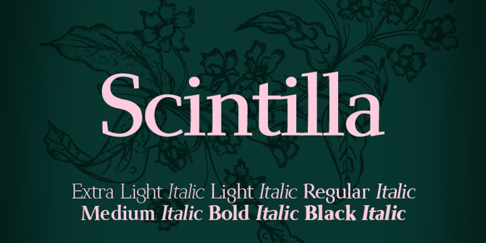 Scintilla Pro font