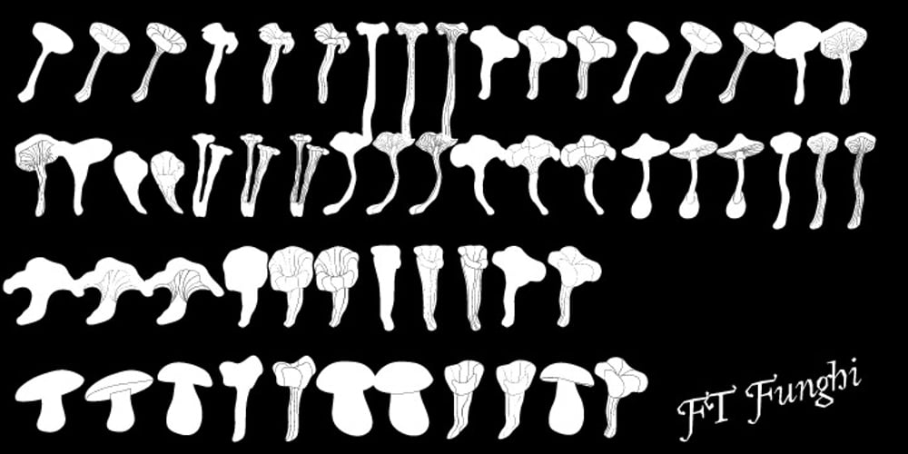 FT Funghi font