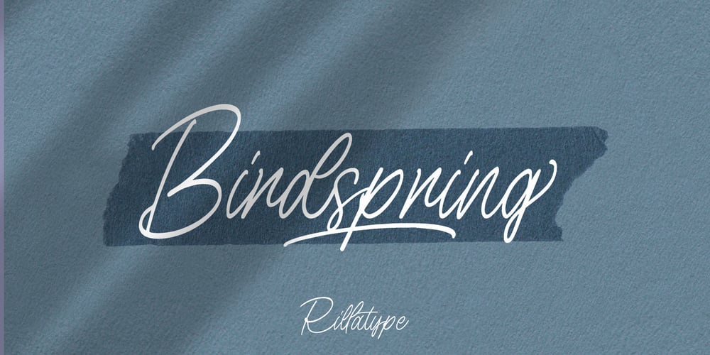 Birdspring Signature font