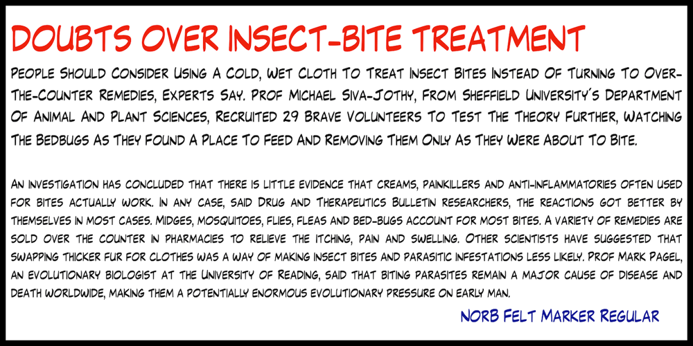 NorB Felt Marker font