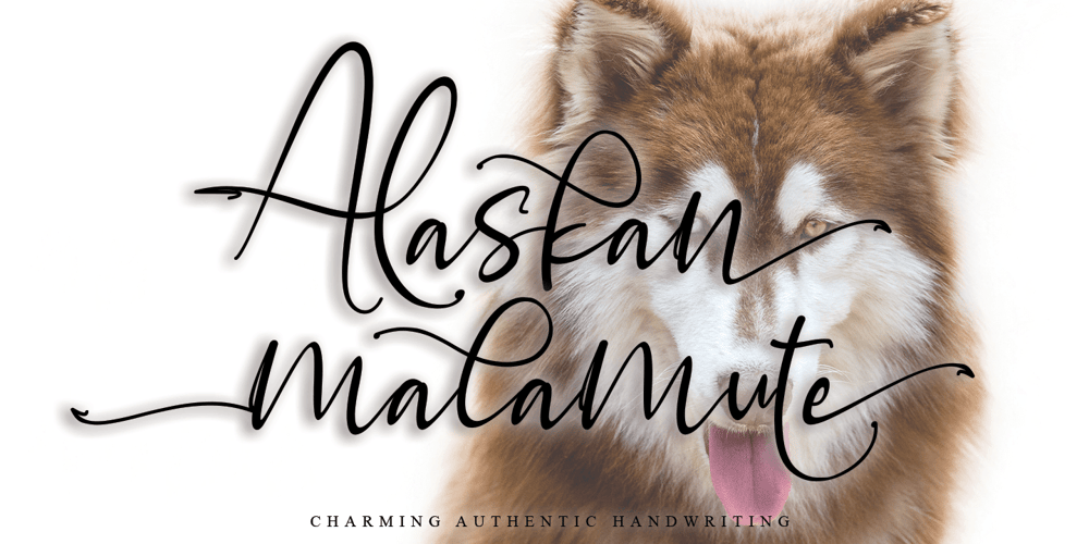 Alaskan Malamute font