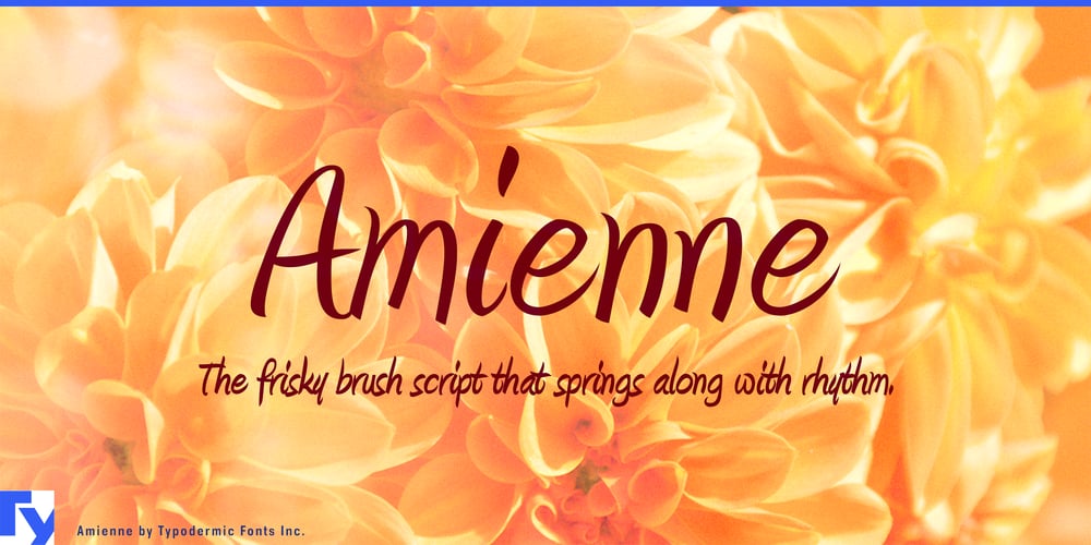 Amienne font