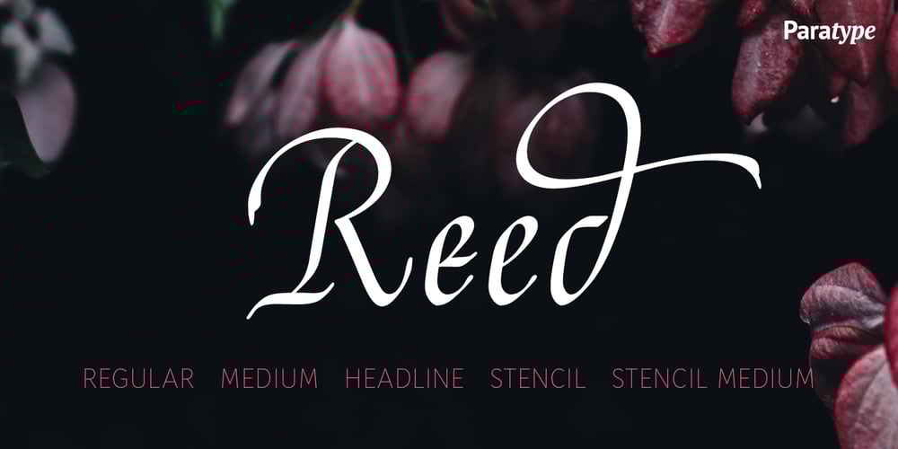 Reed font