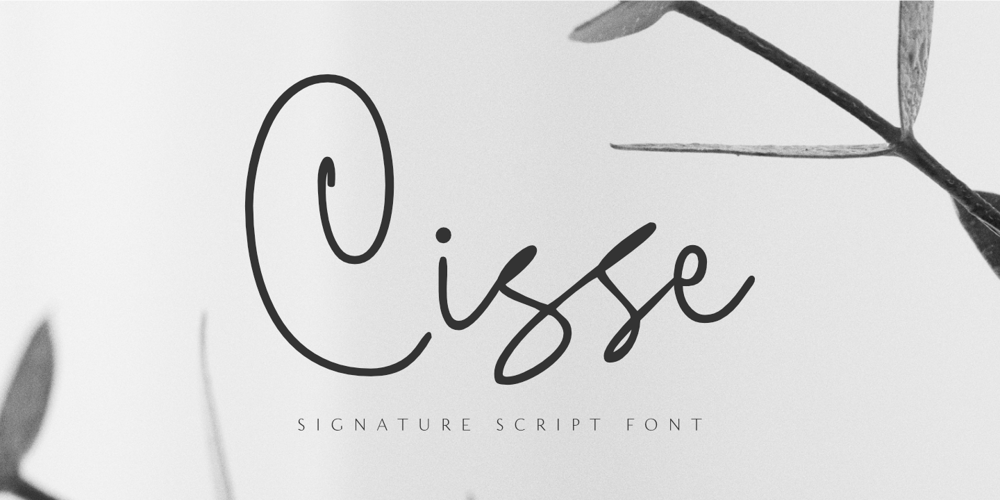 Cisse font