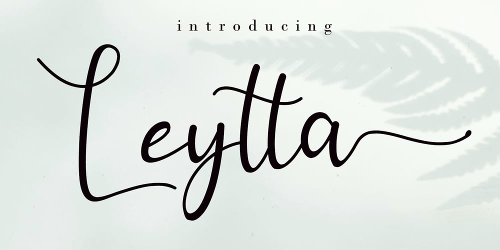 Leytta font