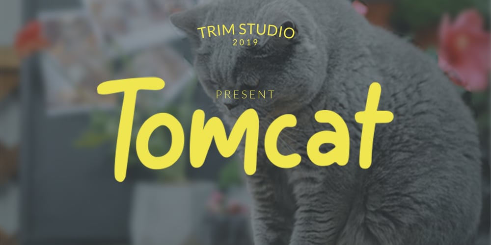Tomcat font