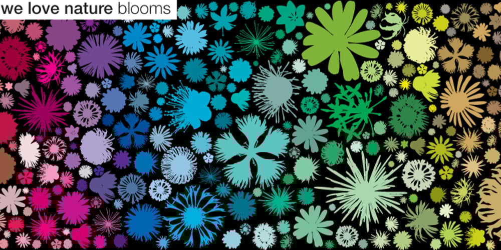 We Love Nature Blooms font