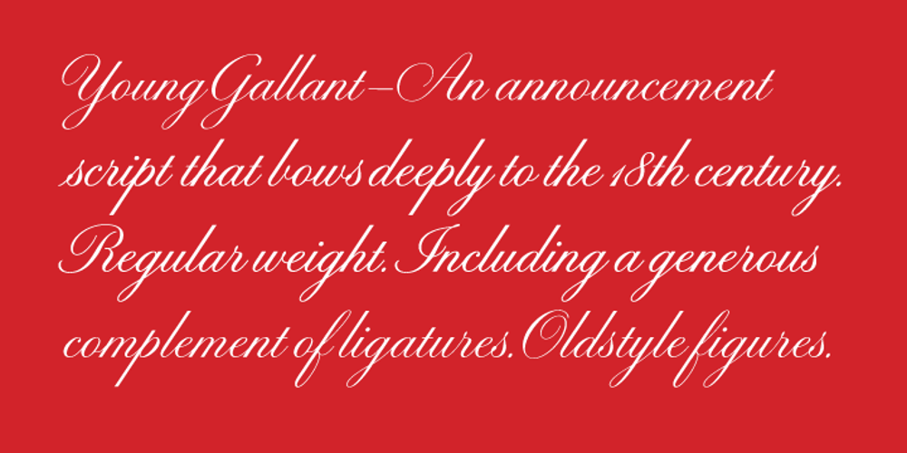 Young Gallant font