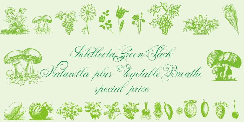 Vegetable Breath font