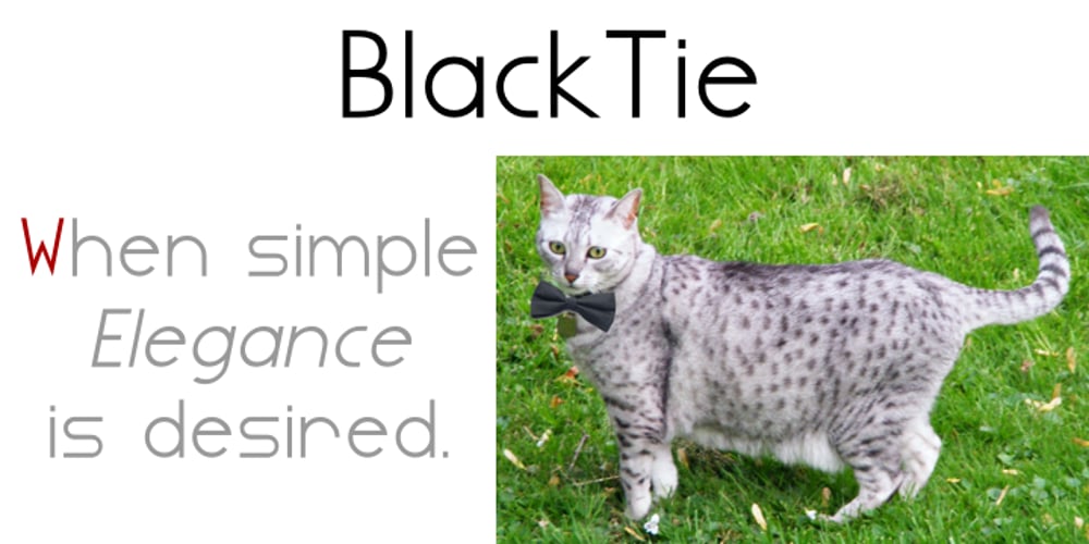 Blacktie font