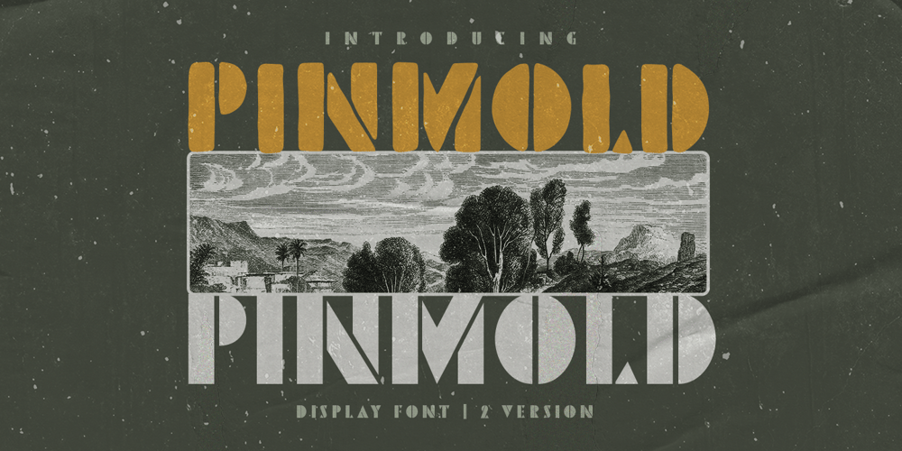 Pinmold font