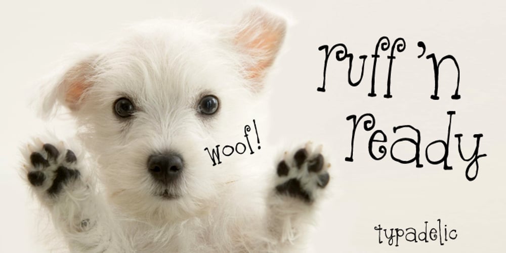 Ruff N Ready font