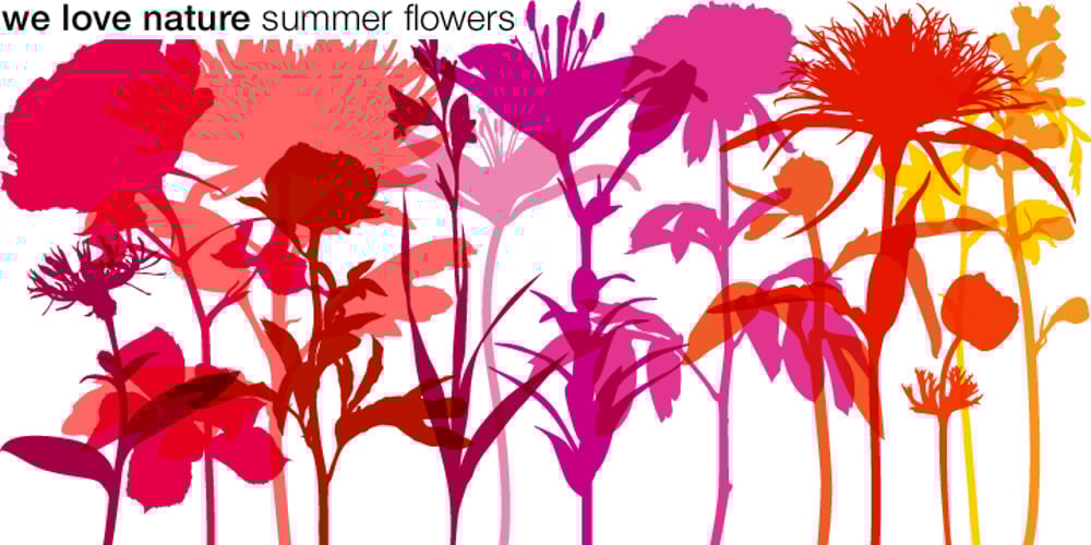 We Love Nature Summer Flowers font