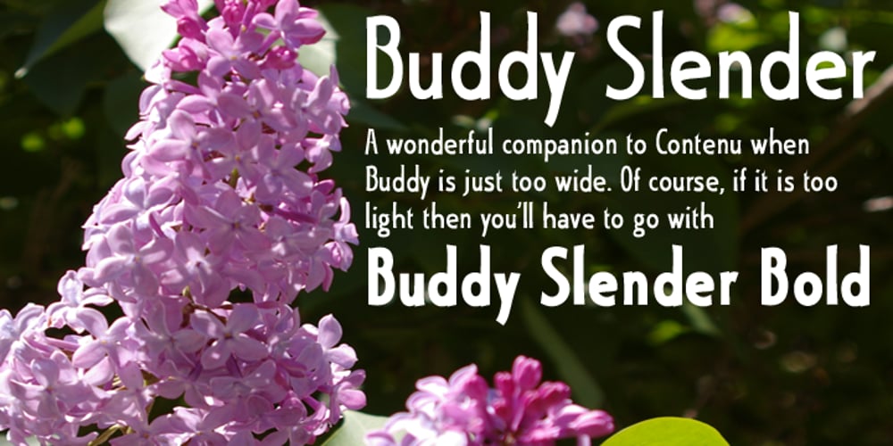 Buddy Slender font