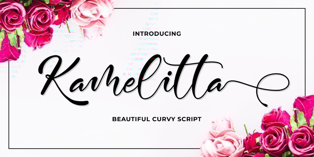 Kamelitta font