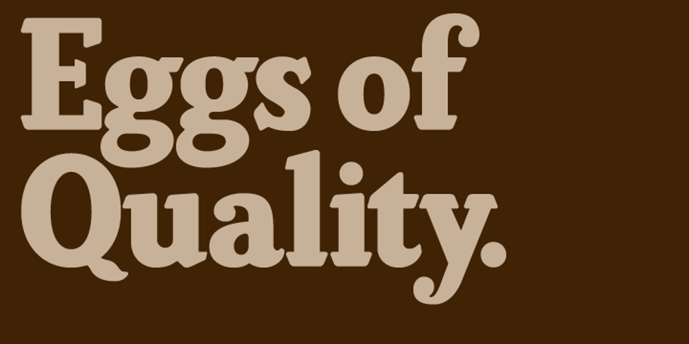 Brunswick Black font