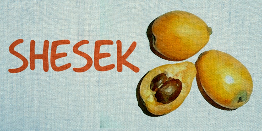 Shesek font