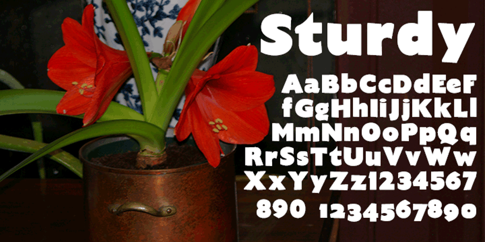 Sturdy font