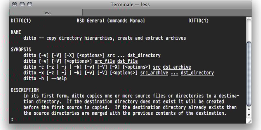 Essential Pragmata Pro font