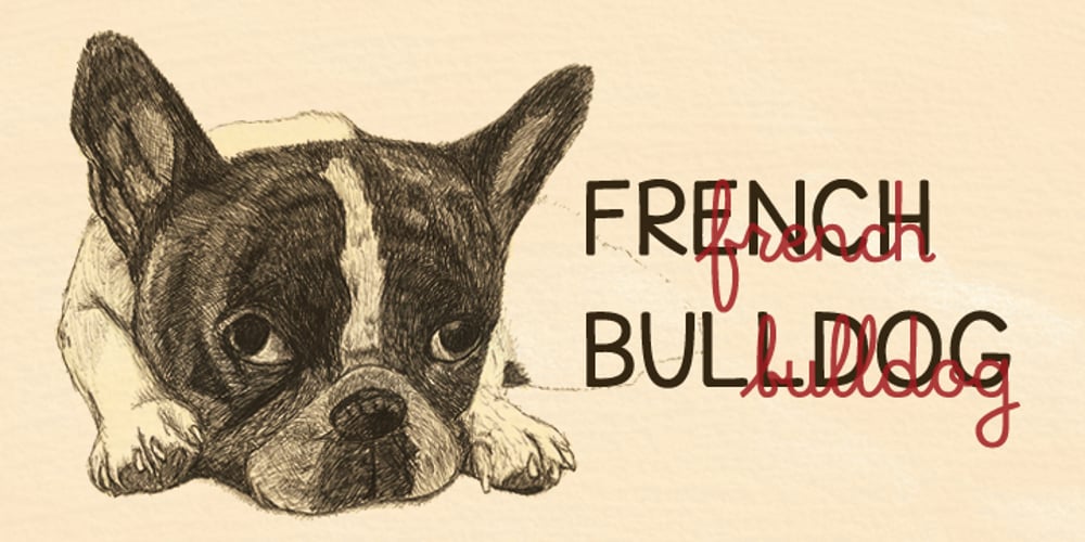 Mr. and Mrs. Peter font