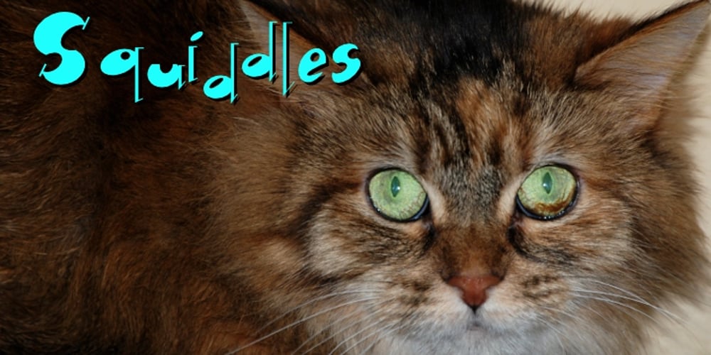 Squiddles font