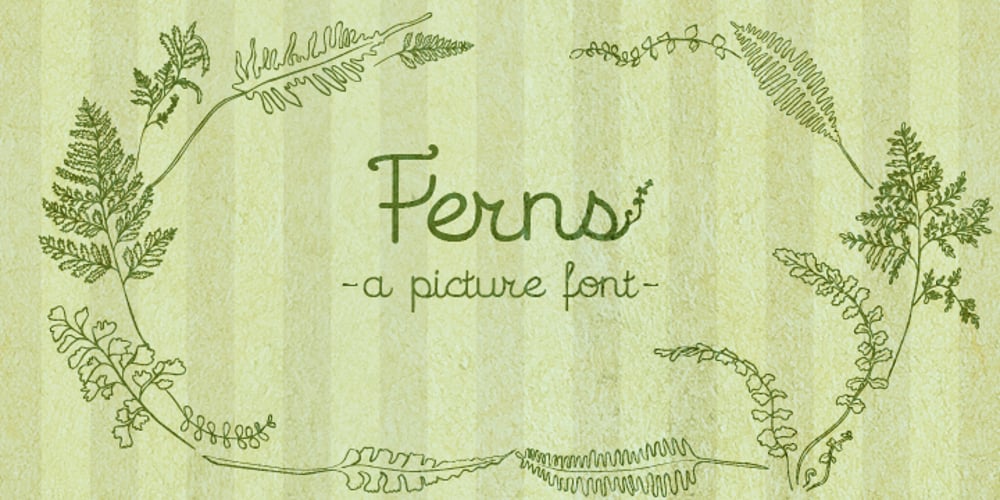 Ferns font