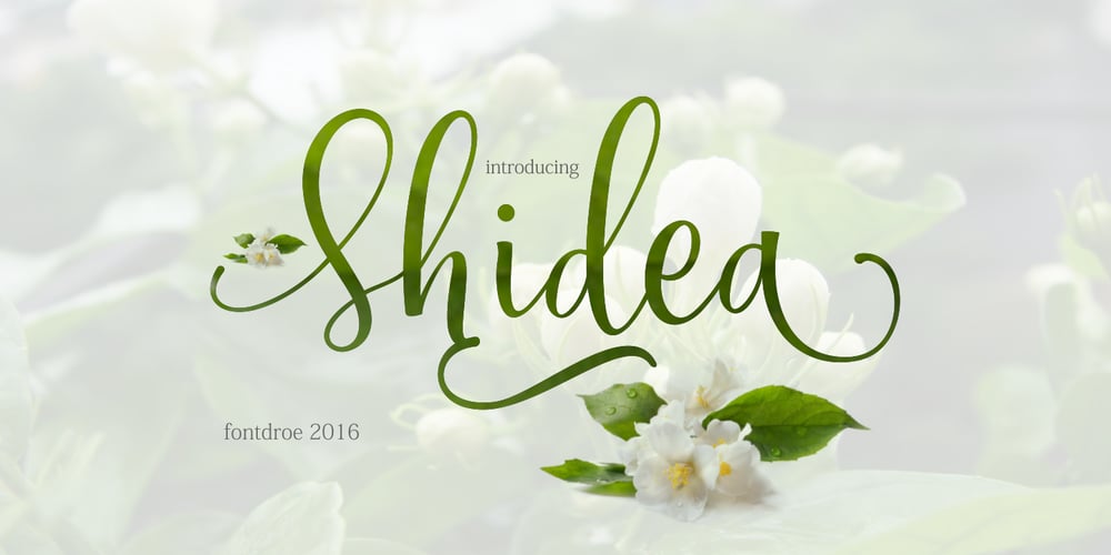 Shidea font