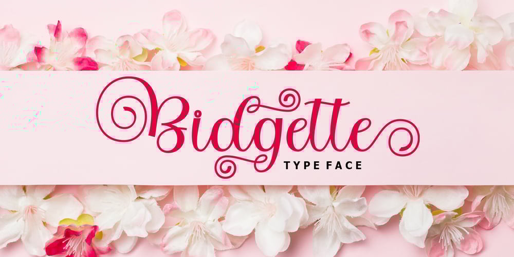 Bitgette Script font
