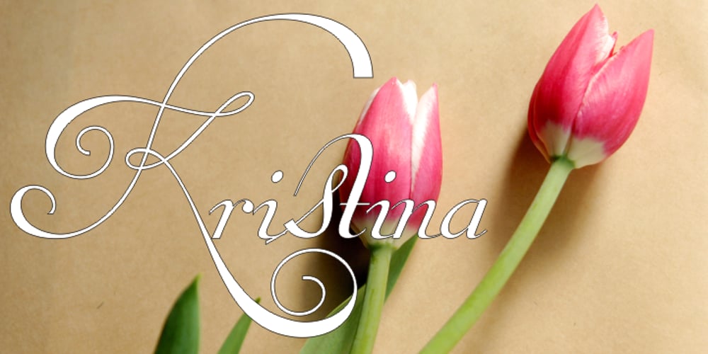 Van Den Velde Script Pro font