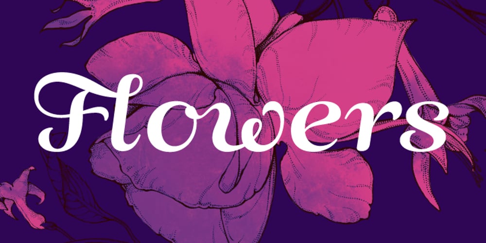 ALS Fuchsia font