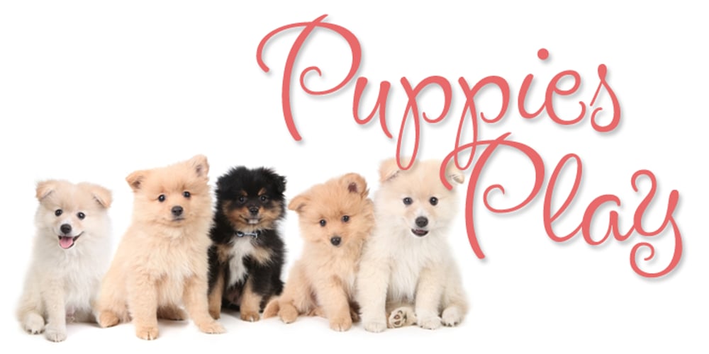 Puppies Play font
